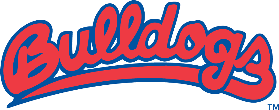 Fresno State Bulldogs 1982-2006 Wordmark Logo iron on transfers for T-shirts